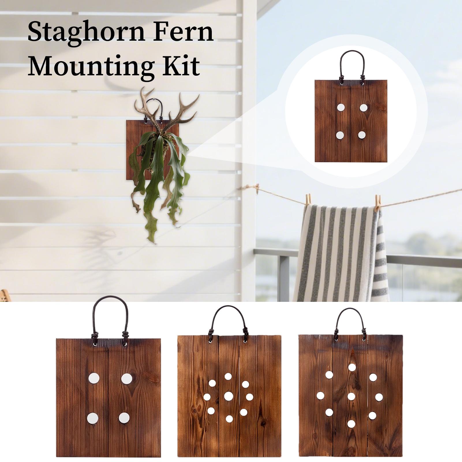 Plant Parents - Kit Penanam Tanaman Dinding Kayu Staghorn