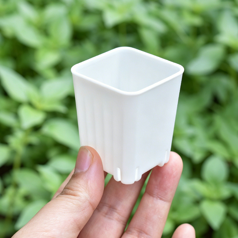 50-100 Buah Pot Bunga Persegi  - Plant Parent ulasan dan harga