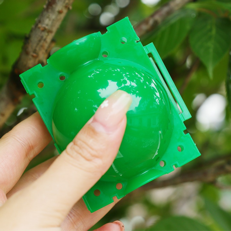 Kotak Penyemaian Tanaman Berti - Plant Parents ulasan dan harga