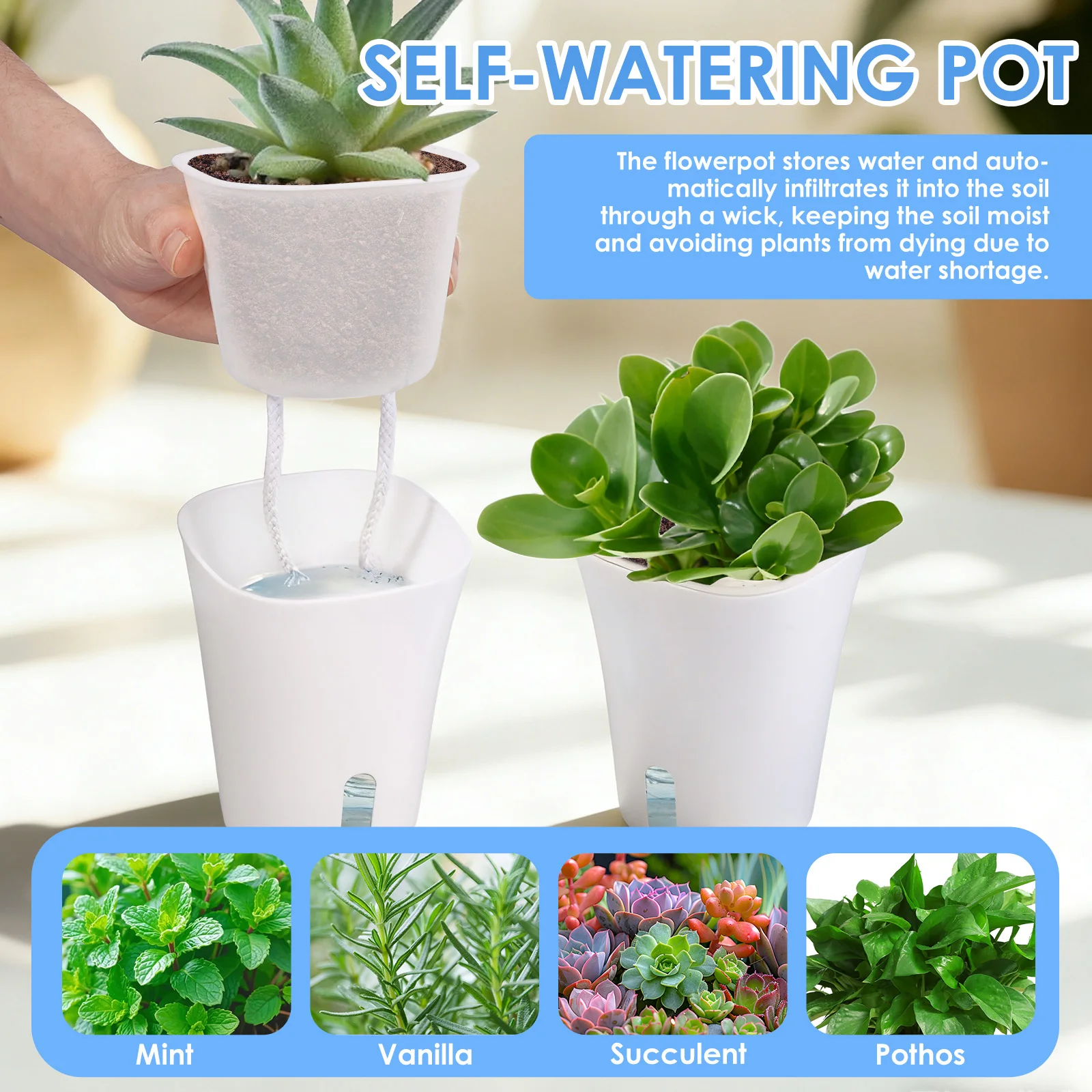 10 Buah Pot Bunga Hidroponik M - Plant Parent ulasan dan harga