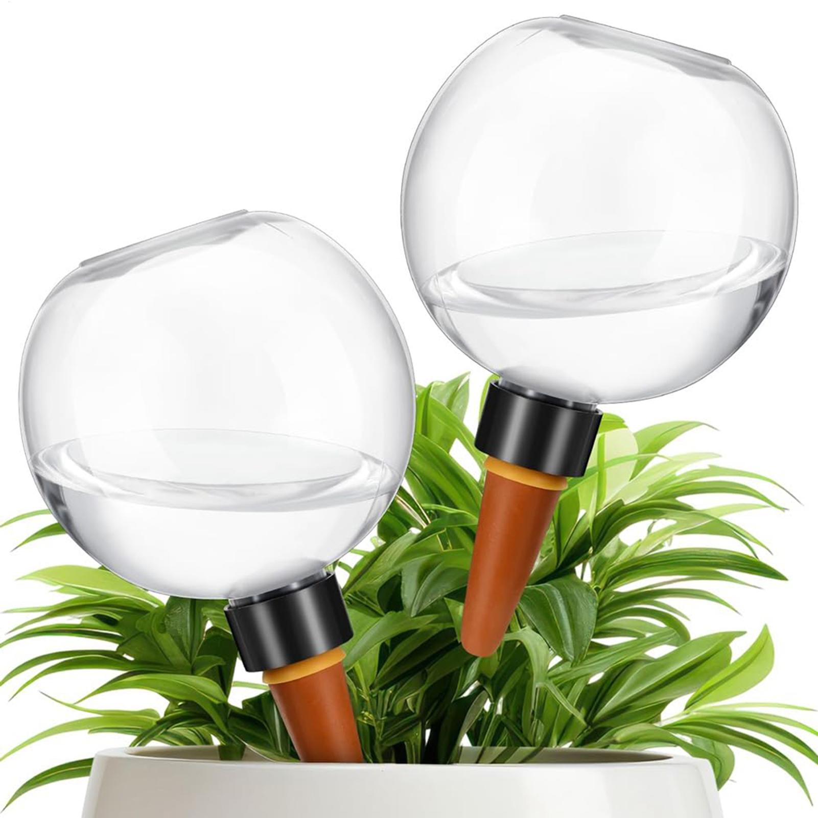 Bola Penyiram Tanaman Otomatis - Plant Parent ulasan dan harga