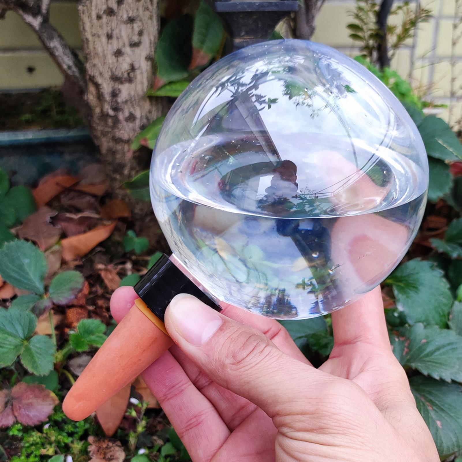 Bola Penyiram Tanaman Otomatis - Plant Parent ulasan dan harga