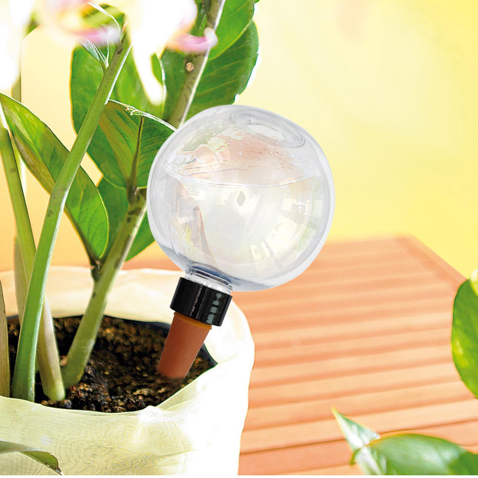 Bola Penyiram Tanaman Otomatis - Plant Parent ulasan dan harga