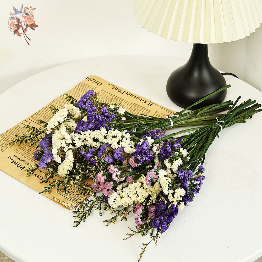 100G Buket Bunga Lupakan-aku-T - Plant Parent Gifts ulasan dan harga