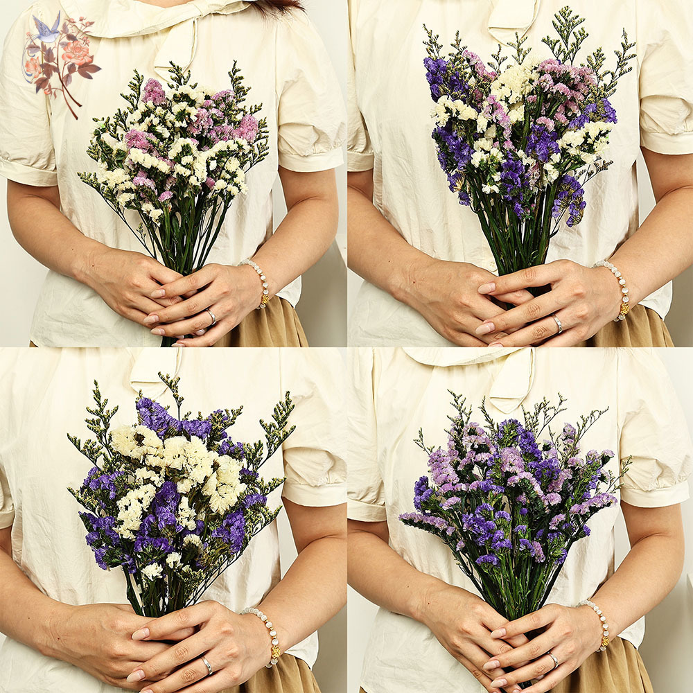 100G Buket Bunga Lupakan-aku-T - Plant Parent Gifts ulasan dan harga