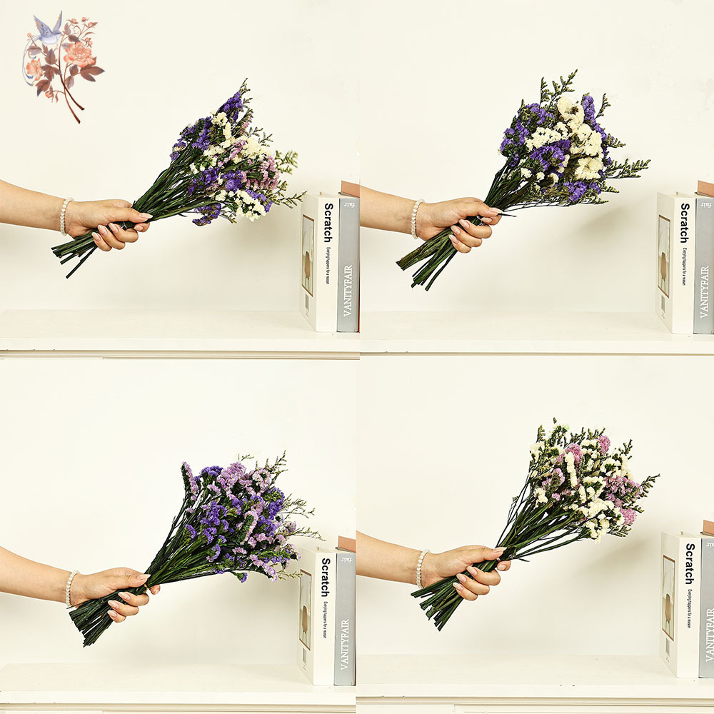 100G Buket Bunga Lupakan-aku-T - Plant Parent Gifts ulasan dan harga